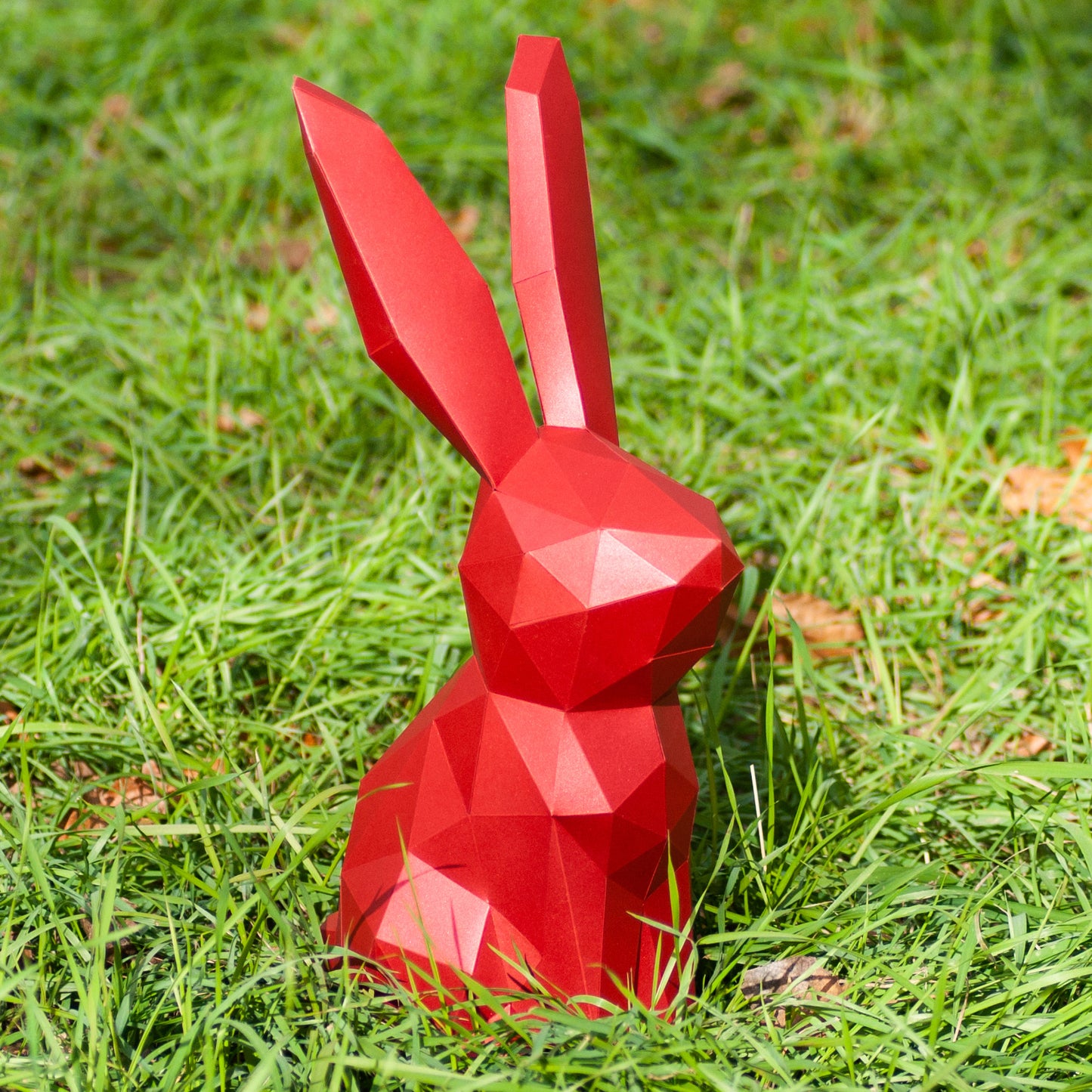 Rabbit