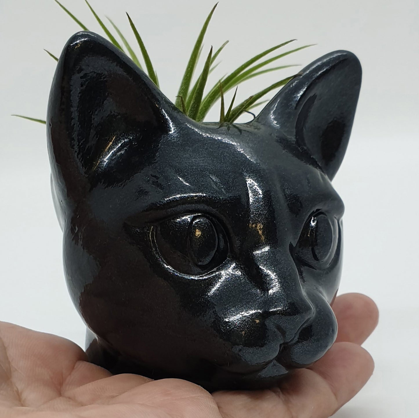 CAT PLANTER