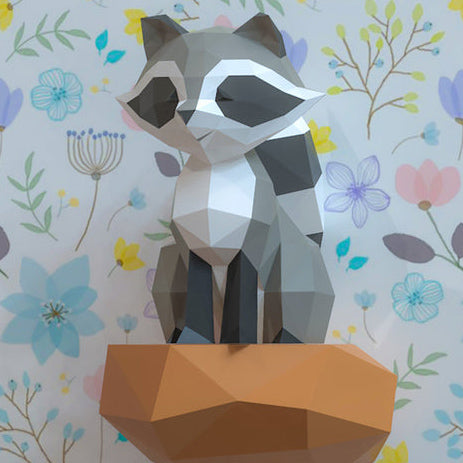 Raccoon