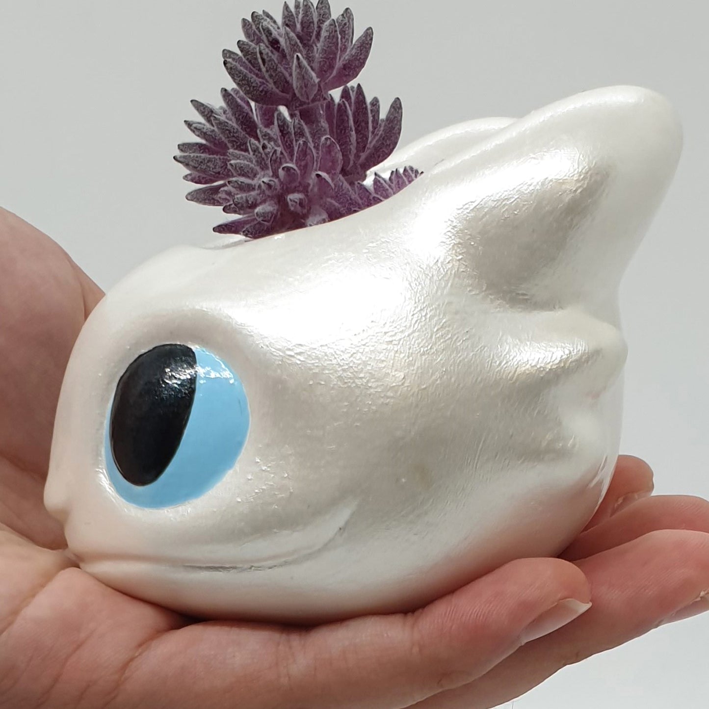 TOOTHLESS DRAGON PLANTER