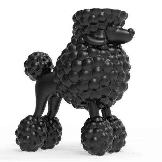 POODLE HOLDER