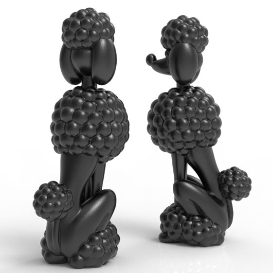 POODLE