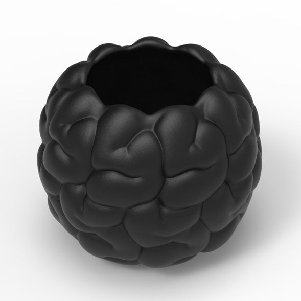 BRAIN PLANTER POT