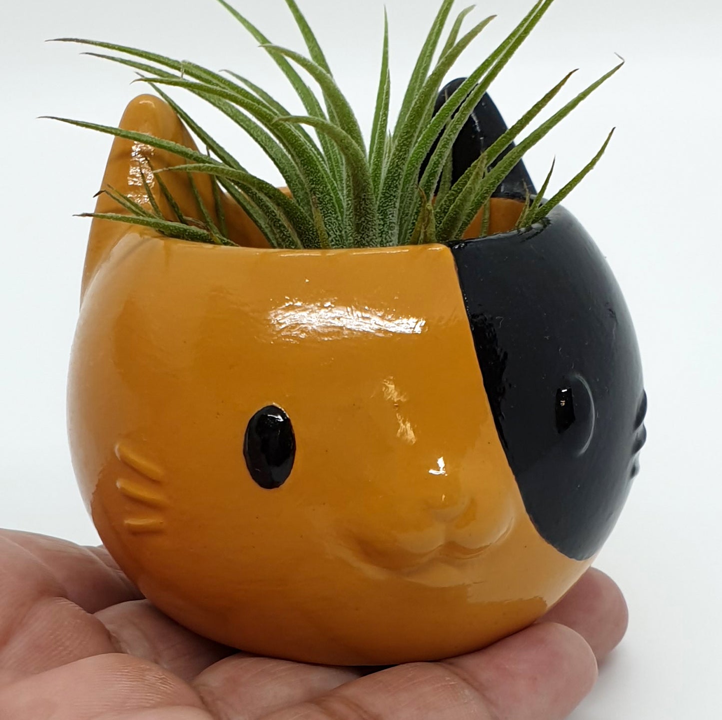 CAT PLANTER