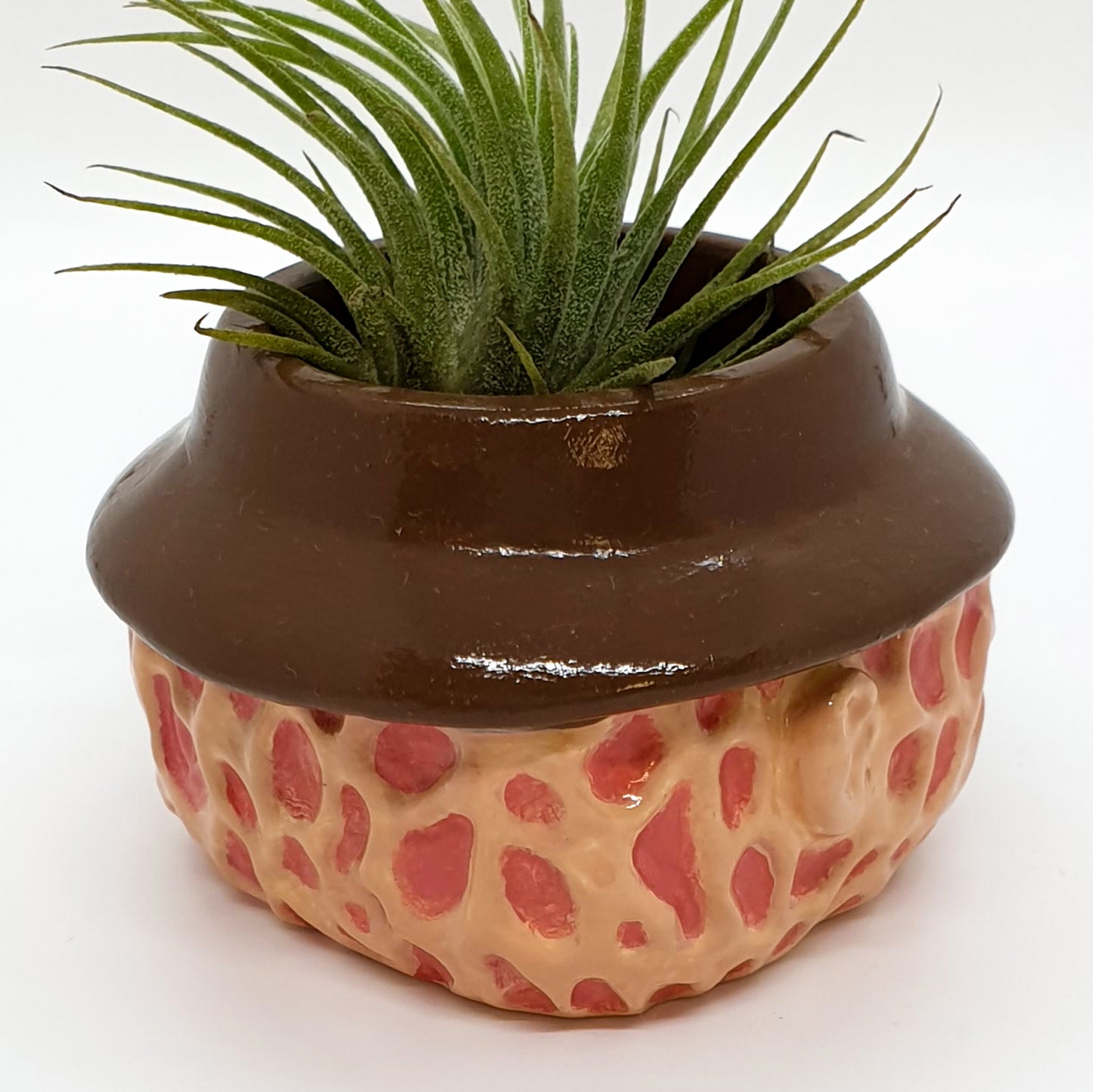 FREDDY POT