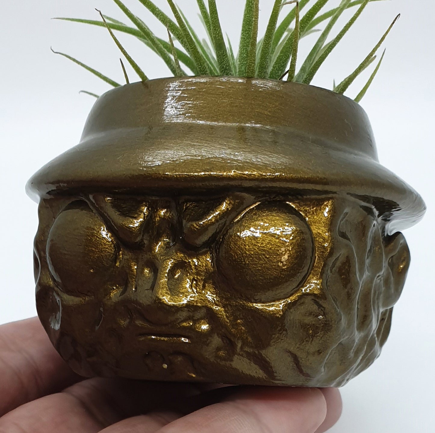 FREDDY POT