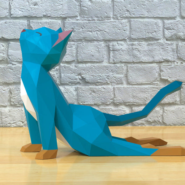 Cat Yoga