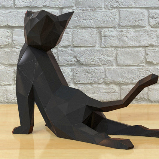 Cat Yoga