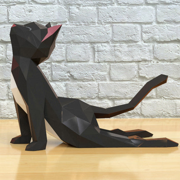 Cat Yoga