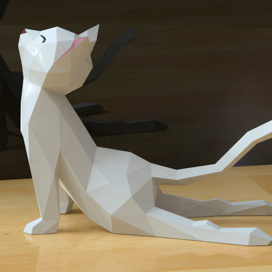 Cat Yoga