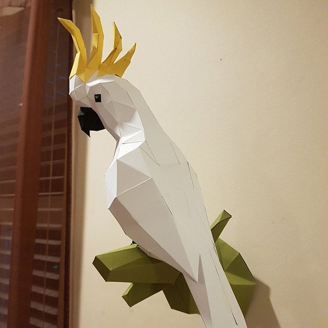 Cockatoo / Parrot