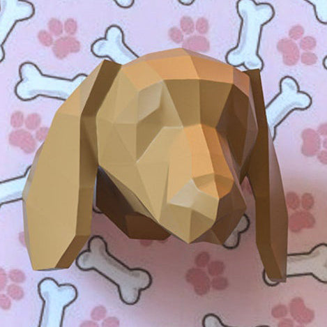 Dachshund head