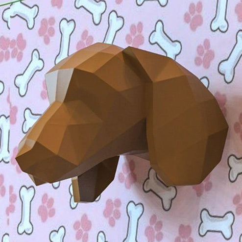 Dachshund head
