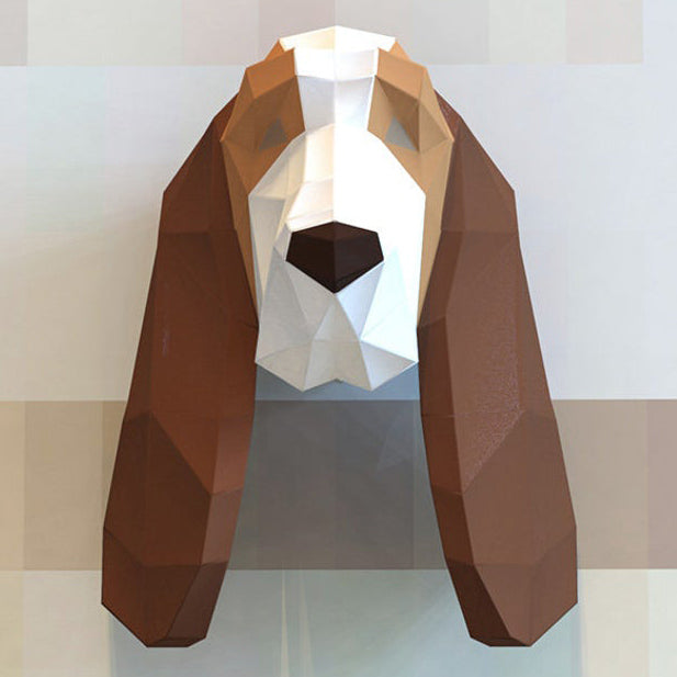 Basset hound