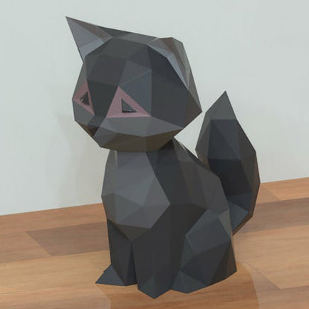 Cat Kitten