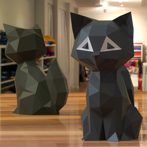 Cat Kitten