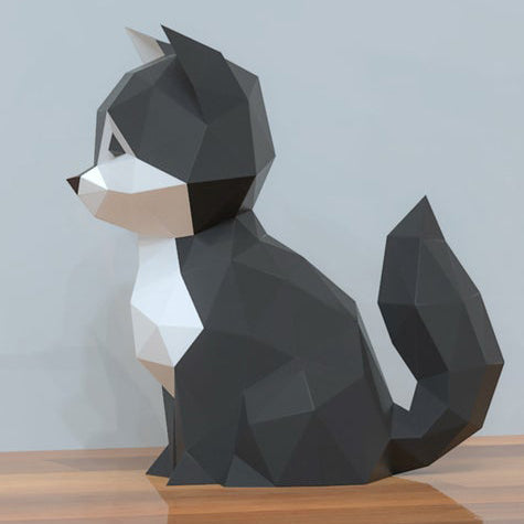 Cat Kitten