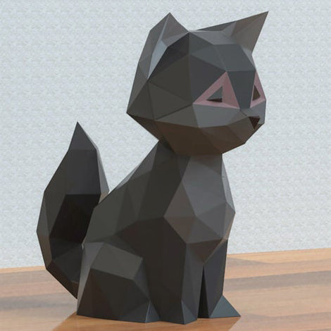 Cat Kitten
