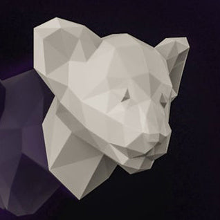 Lion Cub