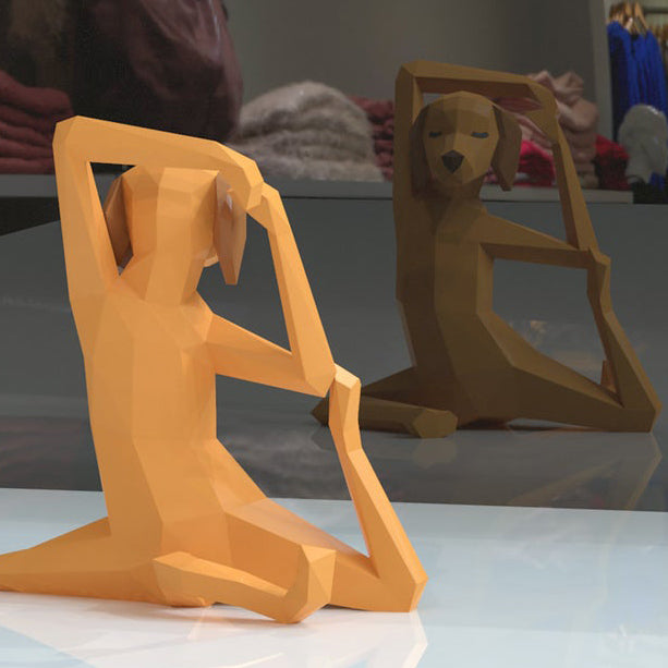 Yoga Dog