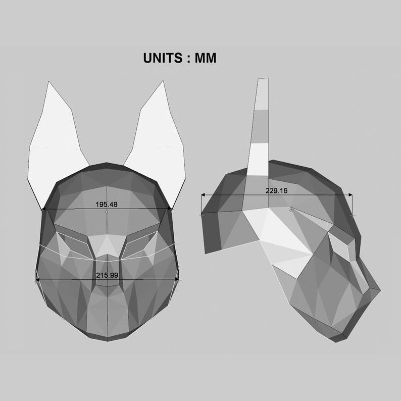 Kitsune drift mask