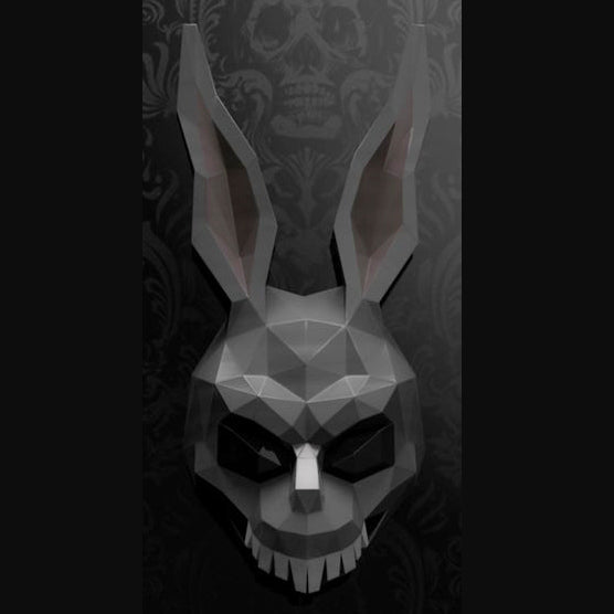 Frank Rabbit, Donnie Darko