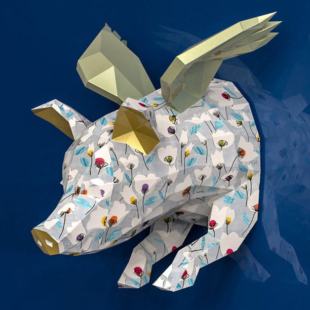 Flying Pig