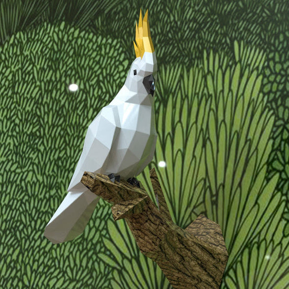 Cockatoo / Parrot