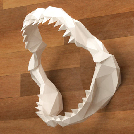 Jaw, Shark Tooth