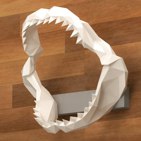 Jaw, Shark Tooth