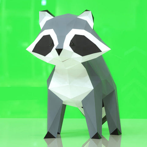 Raccoon