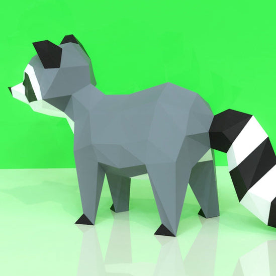 Raccoon