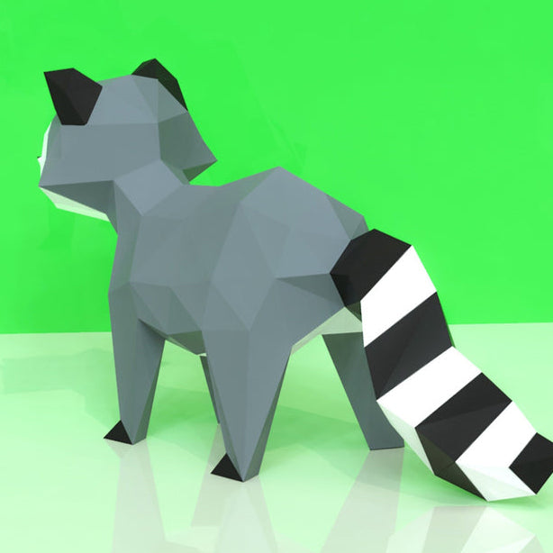 Raccoon