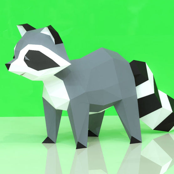 Raccoon