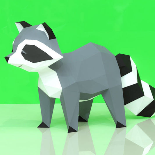 Raccoon