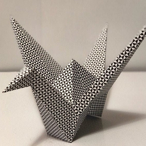 Bird Crane