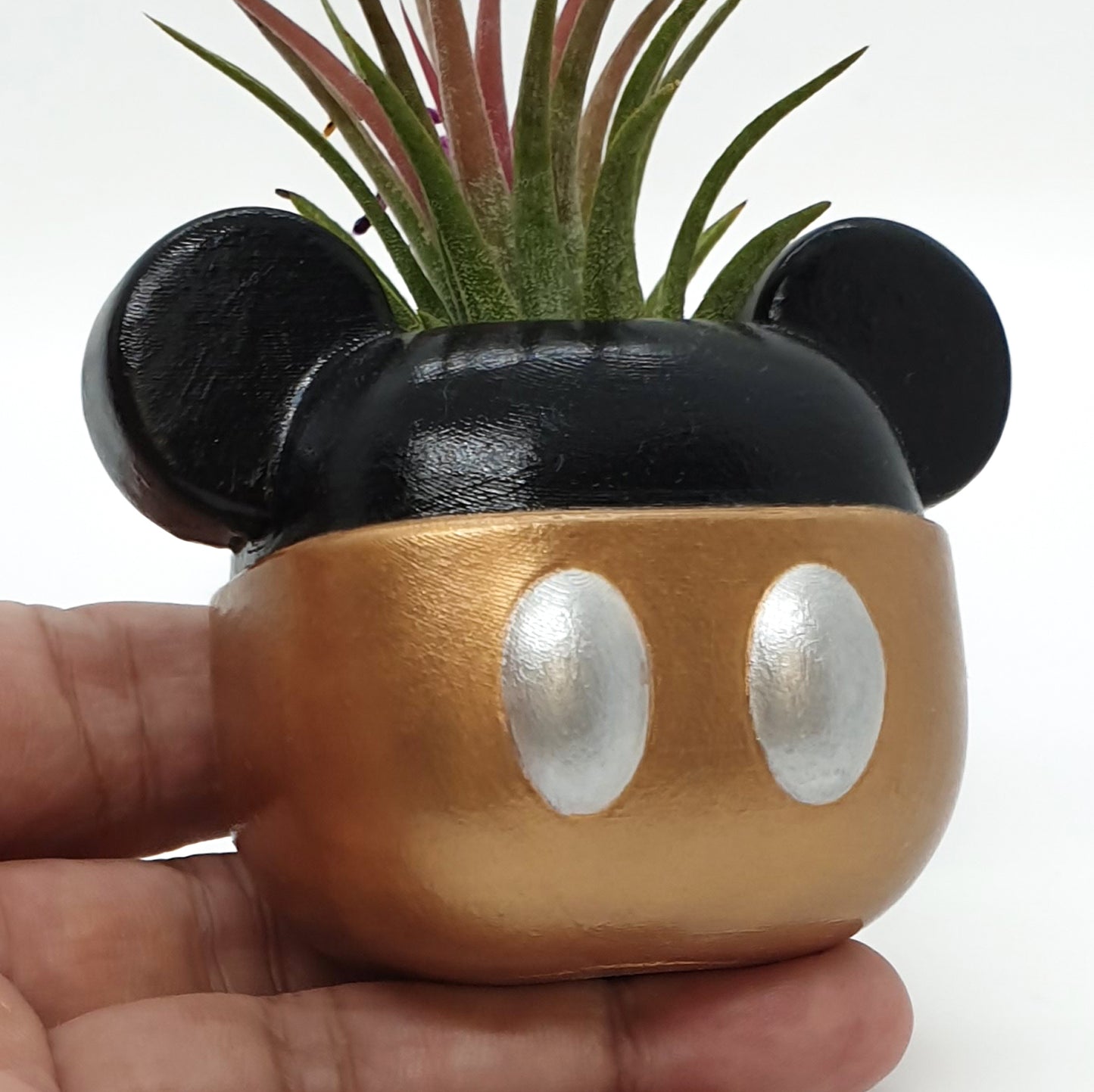 MICKEY PLANTER