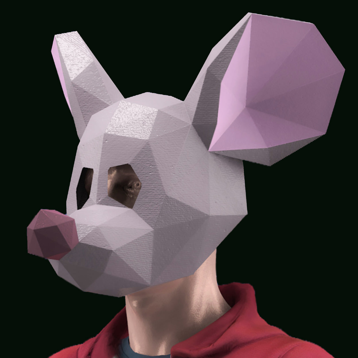 Mouse mask