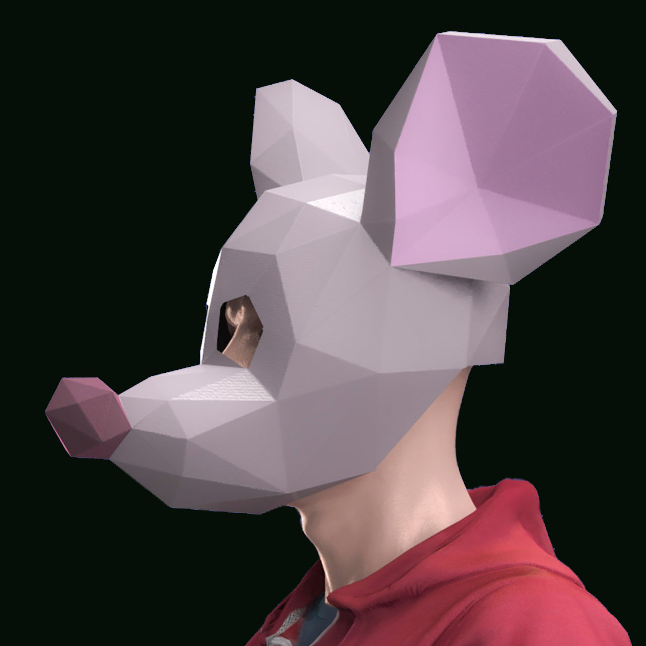 Mouse mask