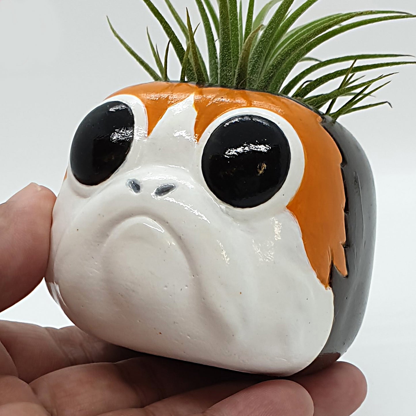 PORG PLANTER