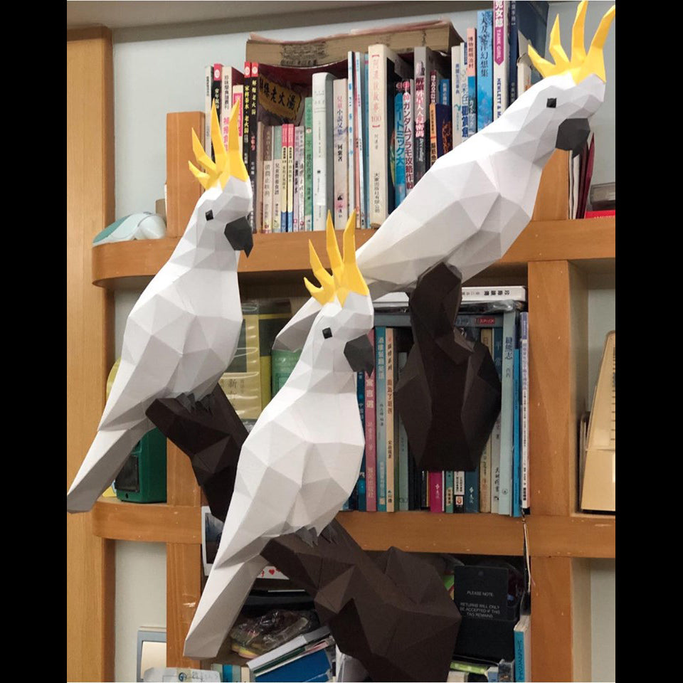 Cockatoo / Parrot