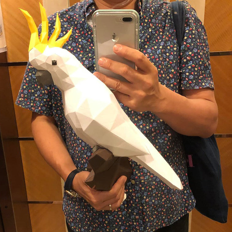 Cockatoo / Parrot