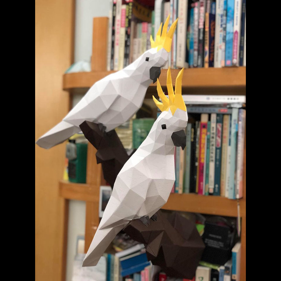 Cockatoo / Parrot