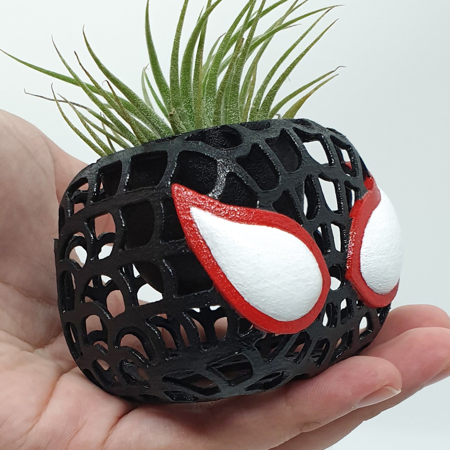 SPIDERMAN LATTICE PLANTER