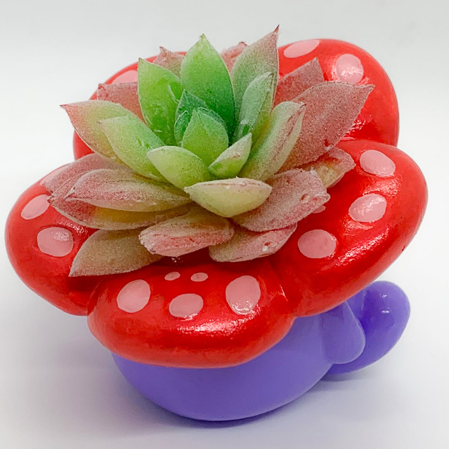 VILEPLUMBE PLANTER