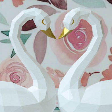 Swan