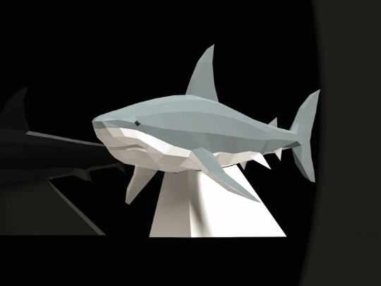 Shark