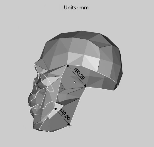 Skull Mask