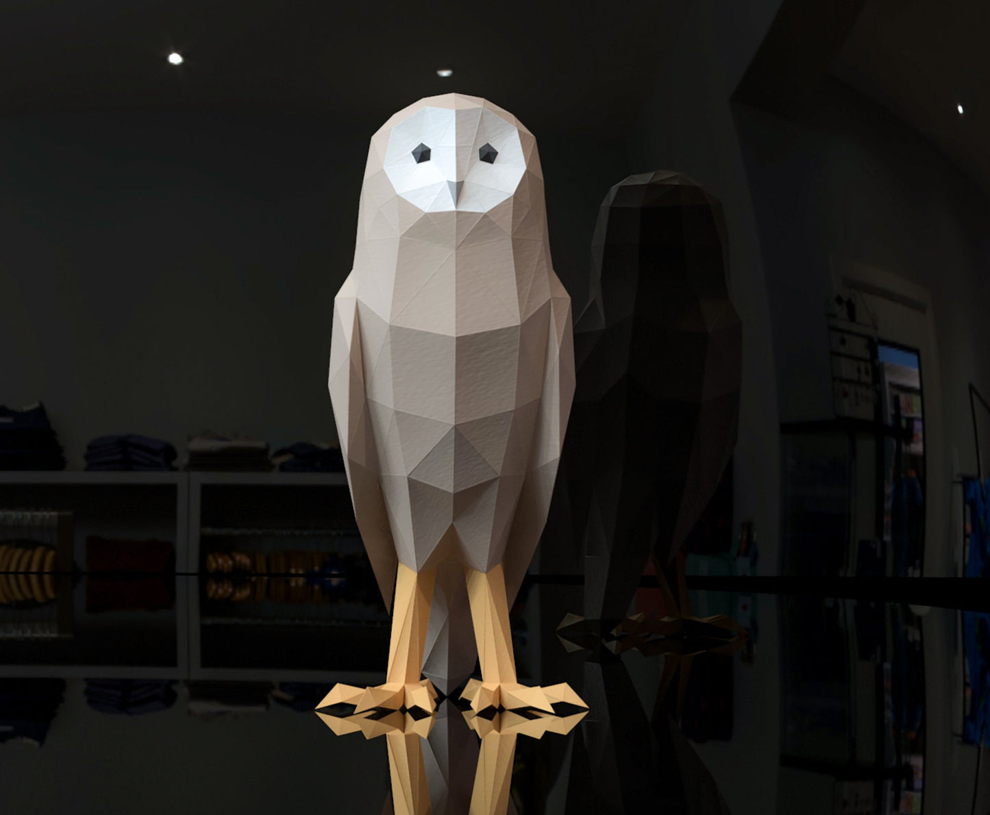 Owl