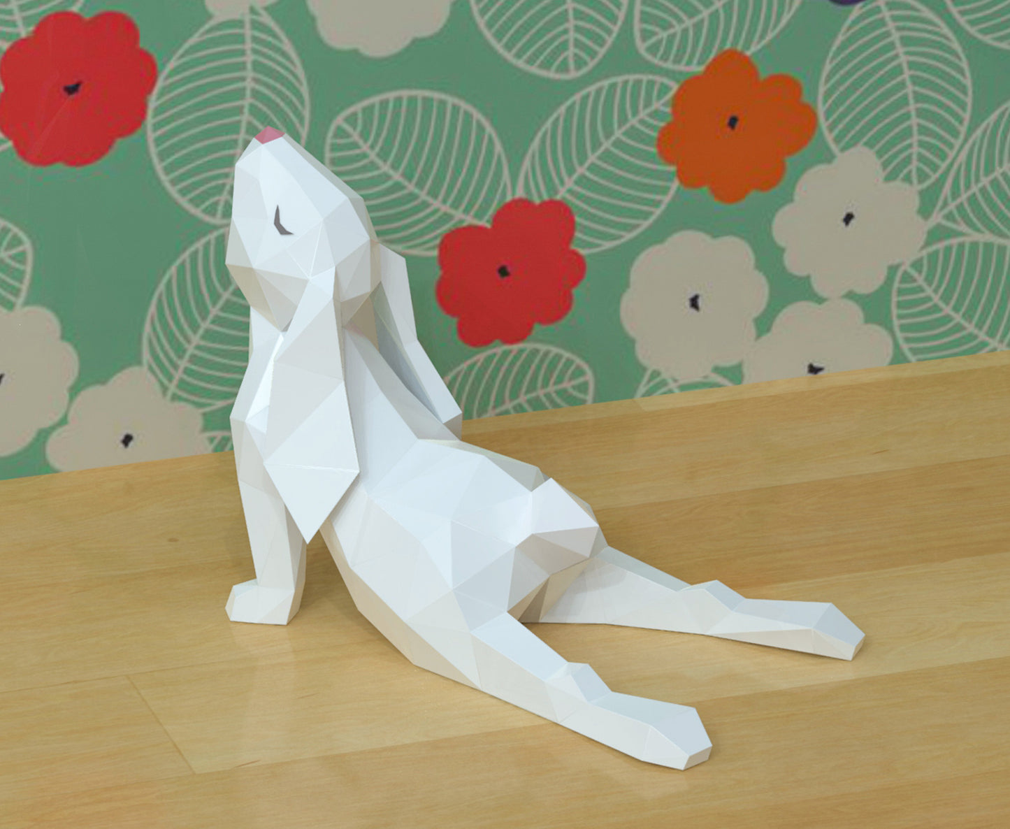 Rabbit Yoga